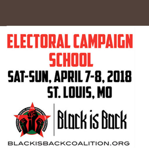 Watch the Electoral Campaign School
