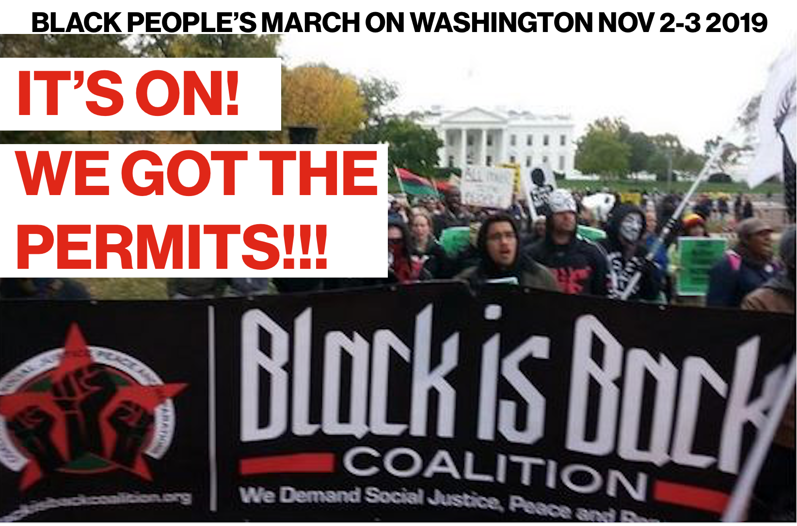 Read more about the article The Black People’s March on the White House Marches On!