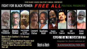 Read more about the article Fight for Black Power: Free All Political Prisoners! BIBC Annual Conference 2020