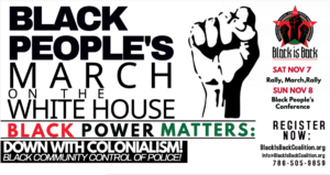 Read more about the article Call to BLACK PEOPLE’S MARCH ON WHITE HOUSE!!! Black Power Matters: Down with Colonialism! Black Community Control of the Police!