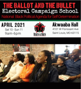 Read more about the article Register for the Black is Back Electoral Campaign School