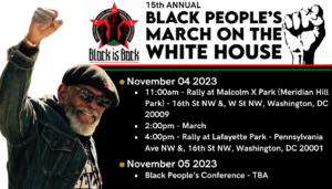 Read more about the article Black is Back Coalition – 15th Annual Black People’s March on the White House