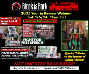 Read more about the article Black is Back Coalition for Social Justice, Peace & Reparations – Year In Review