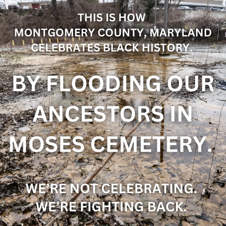 Read more about the article The Bethesda African Cemetery Coalition Calls On Maryland Representatives to Condemn the Deliberate Flooding of Moses African Cemetery, Bethesda, MD