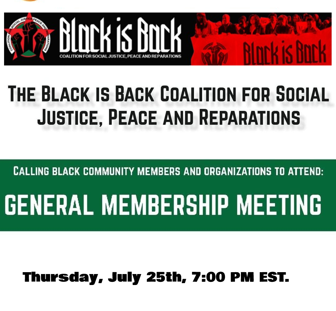 You are currently viewing BLACK IS BACK MEMBERSHIP MEETING JULY 25, 2024  7;00 PM EST.   WE ARE UNSTOPPABLE!