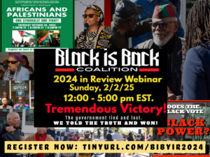 Read more about the article BLACK IS BACK COALITION – YEAR IN REVIEW OF 2024