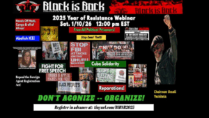 Read more about the article Black is Back Coalition Year in Review of 2025