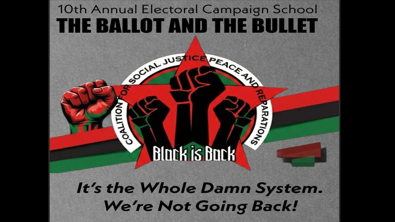 Read more about the article 10th Electoral Campaign School